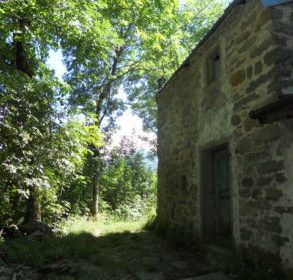 DSCN3426-152927_293x293