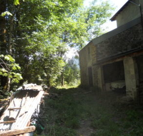 DSCN3429-156386_293x293