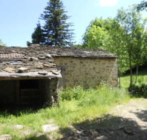 DSCN3833-151305_293x293