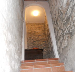 DSCN4432-162699_293x293