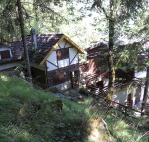 DSCN1436-104689_293x293