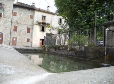 DSCN5135