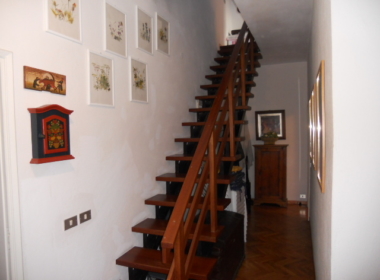 DSCN5225