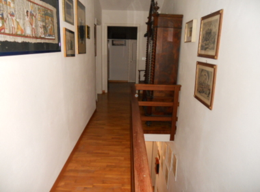 DSCN5231