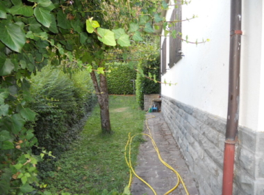 DSCN5236