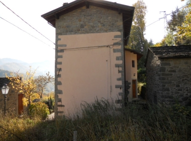 DSCN7117