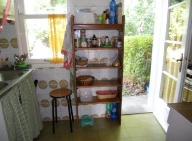 DSCN8260