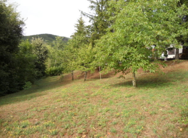 DSCN8270