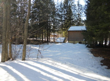 DSCN8825