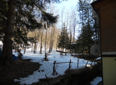 DSCN8827