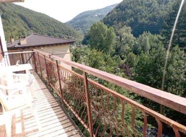 ruini5