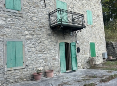 nik14