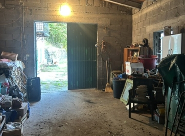 nik15